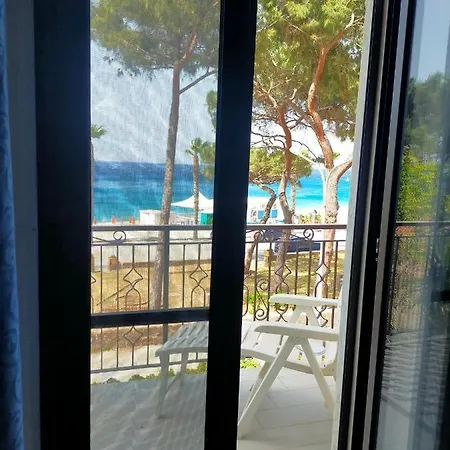 Holiday * Scilla